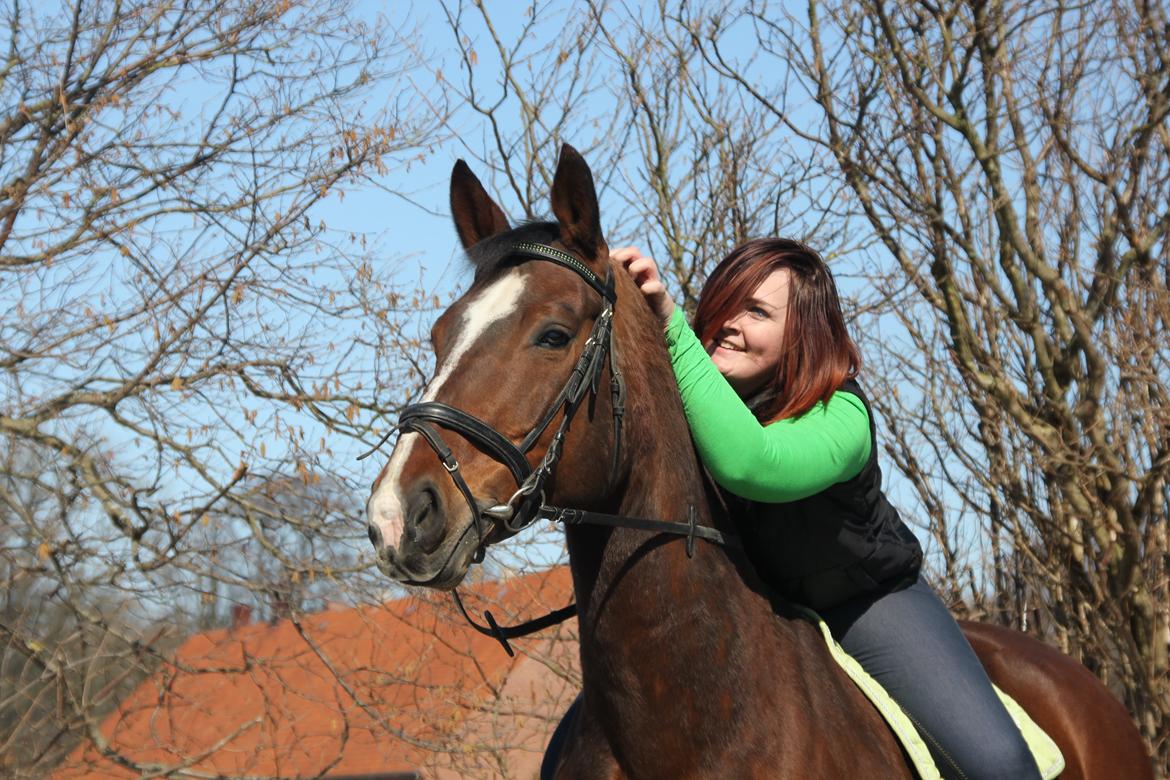 Oldenborg Evita Rosenager <3 - Forår 2013, har haft min dejlige hest i 3 år nu <3 billede 10