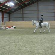 Anden særlig race Jasmin - SOLGT