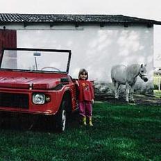 Welsh Mountain (sec A) Bølle *RIP*