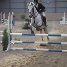 DSP Beluga dsp 515 SAVNET