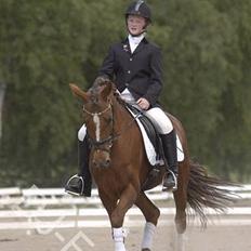 Tysk Sportspony Janette <33'  R.I.P †