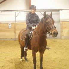 Anden særlig race Ofelia gammel part