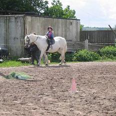 Welsh Mountain (sec A) Skrubbenborg Jamais