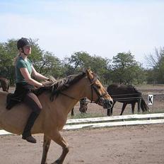 Anden særlig race Ivan RIP