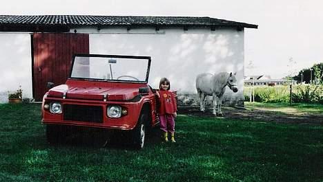 Welsh Mountain (sec A) Bølle *RIP* - lillesøs, bil og Bølle :) (scannet, så er lidt sløret) billede 3
