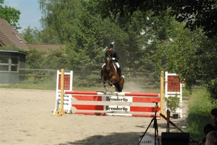 Anden særlig race Mosely's Monte Carlo billede 12