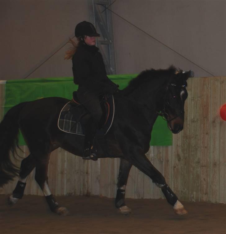 Anden særlig race Mosely's Monte Carlo billede 13