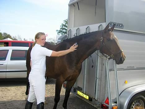 Anden særlig race Easy Go (Sofus) - Sofus 7 år billede 5