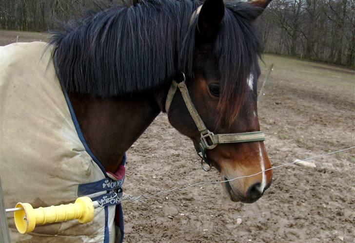 Anden særlig race Senta - * Der findes intet bedre end dig * <3 du gør mig glad ! Du er den bedste :´)  billede 1