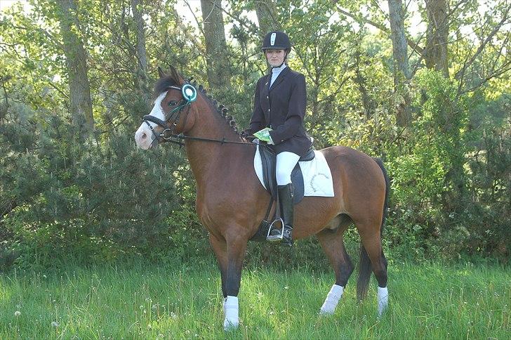 Anden særlig race Karlsbjerggård´s sharingo - Cille Og Sharingo til stævne billede 4