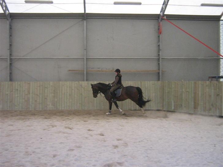 Anden særlig race Mosely's Monte Carlo billede 15