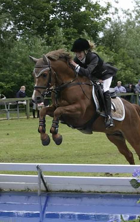 DSP Lanciano kærlund (solgt) - lancianos super spring far billede 17