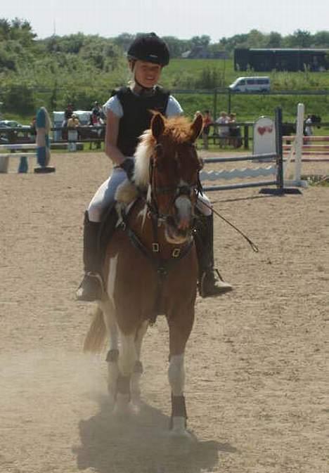 Anden særlig race Aloha Tahiti - solgt - Mig og tahiti til det sidste stævne i V.hassing, pågrund af alder, )´: Fantastik PONY. billede 1