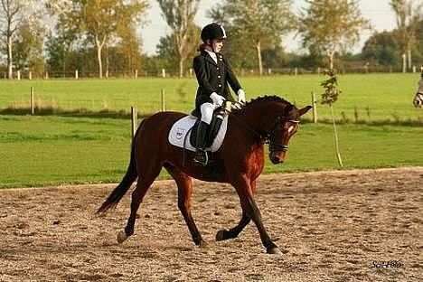 DSP Barbette - til stævne på åstrup gården=) hihi<3 billede 1