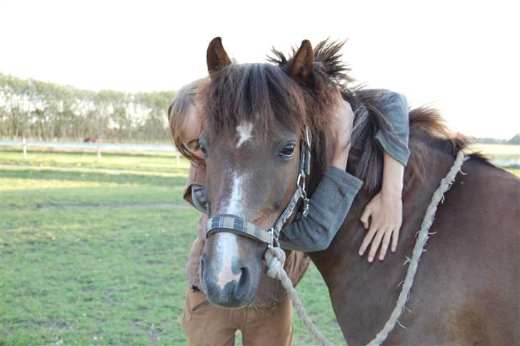 New Forest Brentebjergs Xerox  - Har jeg nogensinde fortalt dig - at du betyder mere end noget andet for mig? <333 Foto: Simone Lykke Hansen. billede 5