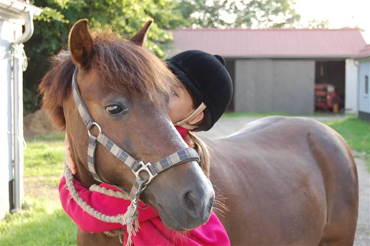 New Forest Brentebjergs Xerox  - Simone og Xerox. Elsker min pony ! Foto: MLH-foto billede 12