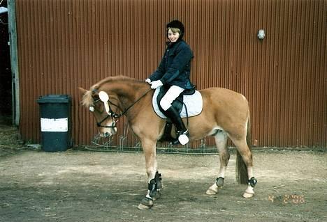 Anden særlig race Lukas - Mig og Lukas´s aller første stævne, i en Clear Round :) Havde kun haft ham i 15 dage, så jeg var stolt :D JEG SAVNER DIG! Foto: Min mor. billede 8