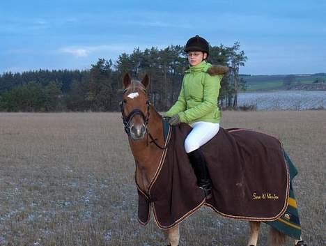 Anden særlig race Lukas - Sarah og Lukas (: JEG SAVNER DIG! Foto: Gamle ejer. billede 10