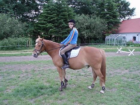 Anden særlig race Lukas - Mig og tykke Lukas :D! JEG SAVNER DIG!  Foto: Min far. billede 13