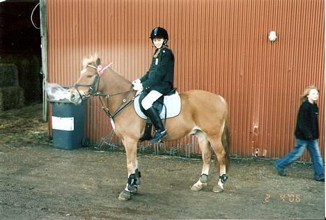 Anden særlig race Lukas - Lige vundet en 1-plads i LC :) JEG SAVNER DIG! Foto: Min far. billede 16