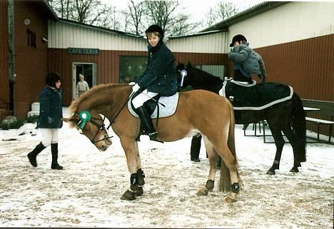 Anden særlig race Lukas - Lige vundet en 4-plads i LC :) JEG SAVNER DIG! Foto: Min mor. billede 17