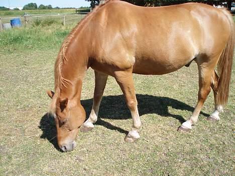 Anden særlig race Lukas - Elsker dig <33 JEG SAVNER DIG! Foto: MLH-foto billede 19