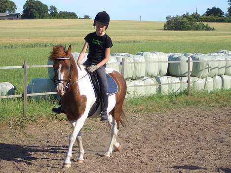 DSP Poseidon billede 7