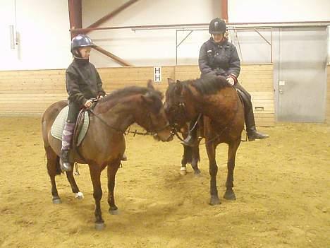 Anden særlig race Ofelia gammel part - Her er offe med ferrytail. Ferrytail spirnger jeg på :P billede 4