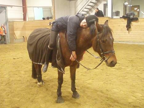 Anden særlig race Ofelia gammel part - Slapper lige af billede 5