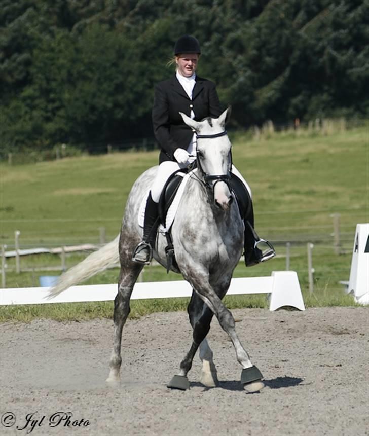 Dansk Varmblod Leda ERDH <3 - flytter sig lidt til siden :D  [billedet taget af fotograf jyl, tak til hende :D] billede 16