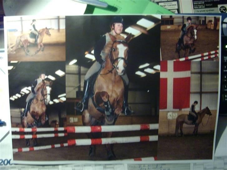 DSP format R.I.P billede 3