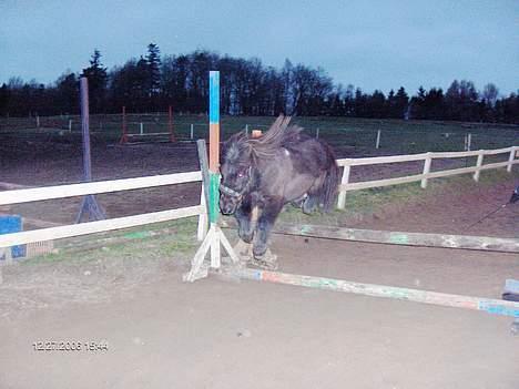Anden særlig race Kalle - hop kalle 80 cm billede 20