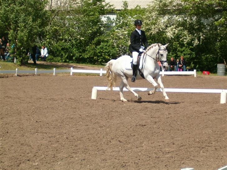 Irsk Sportspony Idom Aadahls Quickstep - Distriksstævne i Morsø, LB3 <33 billede 12
