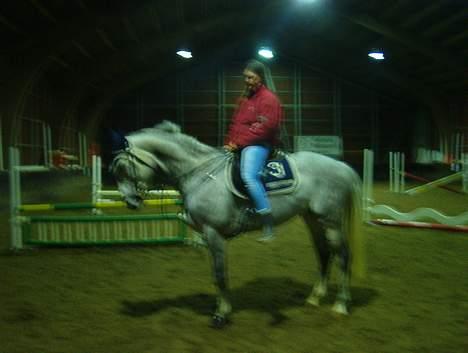 Fuldblod (XX) Polish Princess *Solgt* - Princess og jeg.. billede 10