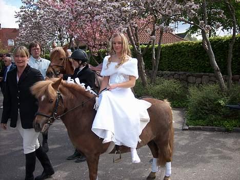 Shetlænder jeppe - Min dejlige Jeppe ved kirken hvor jeg blev konfirmeret<3<3 billede 4