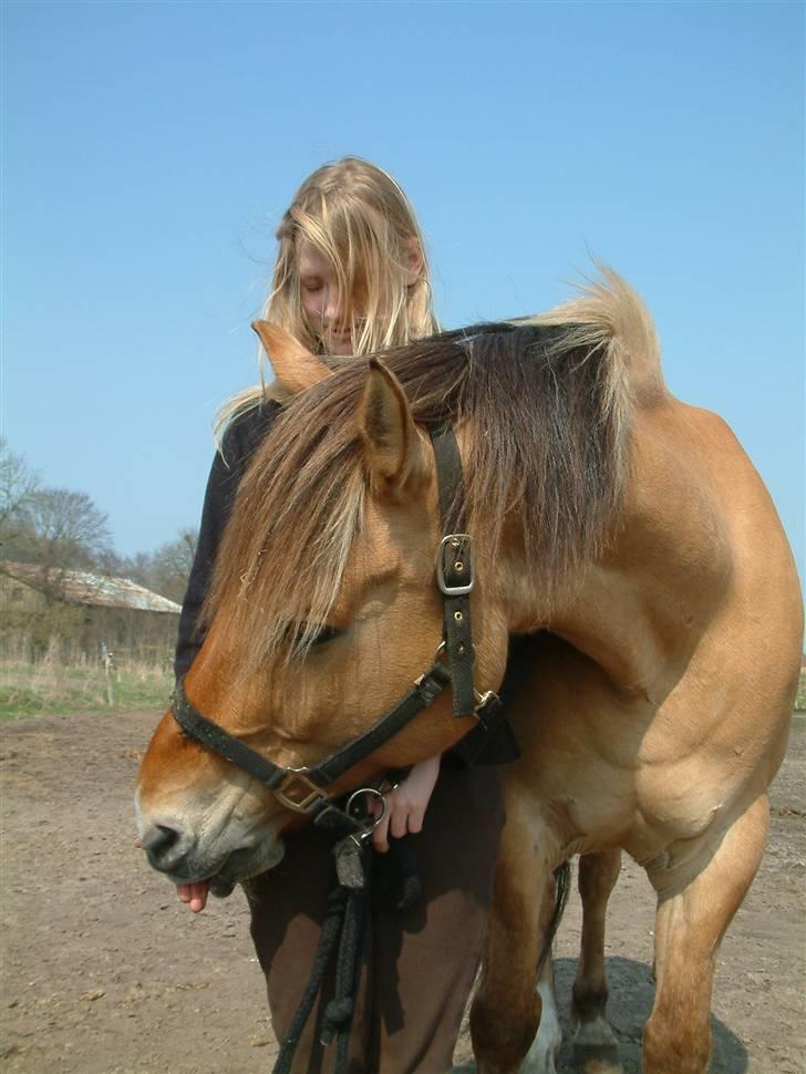 Anden særlig race Ivan RIP - Ivan og mig. [Fotograf: Min mor] billede 2