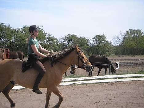 Anden særlig race Ivan RIP - Lad os se hvordan det går, hvis vi begge lukker øjnene... [Fotograf: Mette Andersen] billede 3
