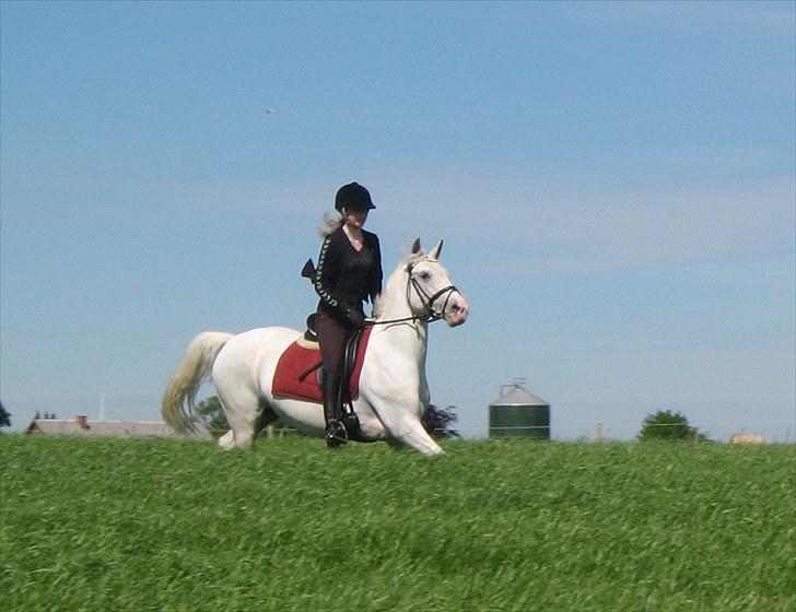 Anden særlig race Jasmin - SOLGT - Galop på marken - forår 2010 :) billede 15