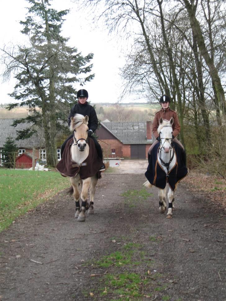 Anden særlig race Jasmin - SOLGT - 25 februar 08 - Jasmin & Gorian <3 billede 16