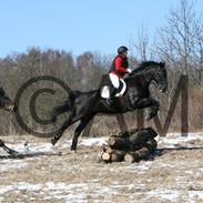 Oldenborg Skak Hauge af Dybendal
