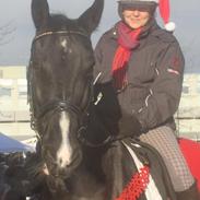 Oldenborg Skak Hauge af Dybendal