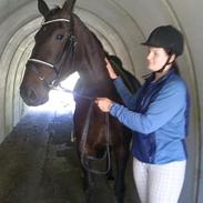 Anden særlig race AnnaBell