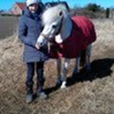 Anden særlig race Uptown Girl *Tøffe*<3 (aflivet)