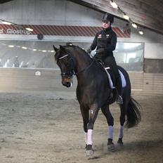 Anden særlig race Mouton B-hest