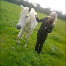 Connemara Nyvang's fame