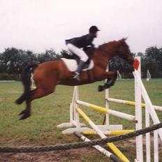 Anden særlig race Eternal Jive