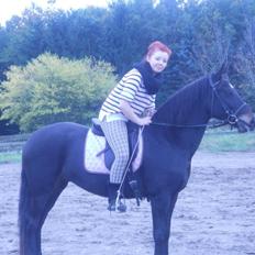 New Forest Queenshill Savannah