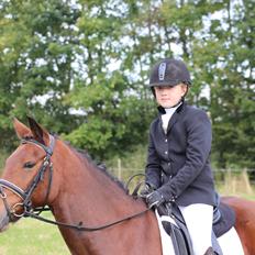 Tysk Sportspony Buglies Star