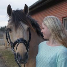 Anden særlig race Vangshøjs Baily <3 B-PONY