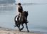 Merens de Cheval Lady (Lelia de Olmes) - Sommer <3